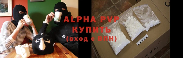индика Слюдянка