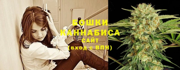 PSILOCYBIN Алексин