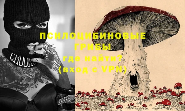 PSILOCYBIN Алексин