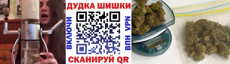 MEGA как войти Зеленоградск Канабис Ganja сколько стоит